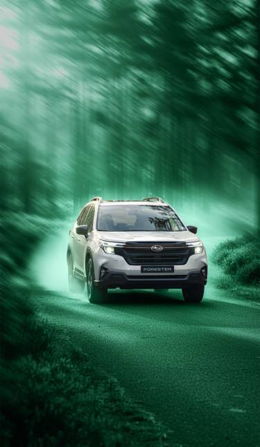 Crosstrek Background